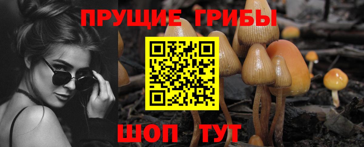 Галлюциногенные грибы Psilocybe  Псилоцибиновые грибы Psilocybe  Вход с VPN  Шатура 